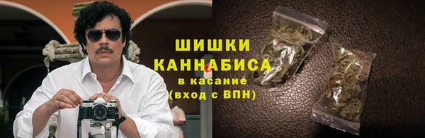 молекула духа Богородицк