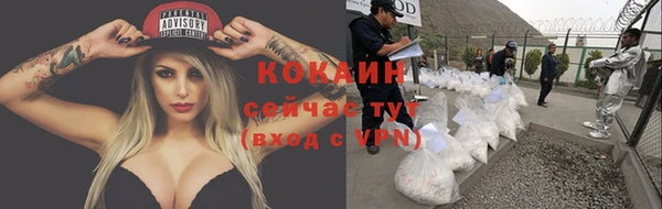 молекула духа Богородицк