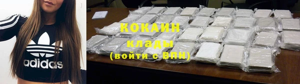 молекула духа Богородицк