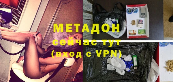 спайс Богданович