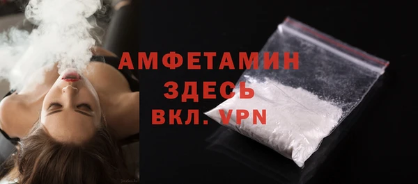 молекула духа Богородицк