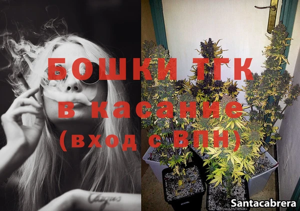 спайс Богданович