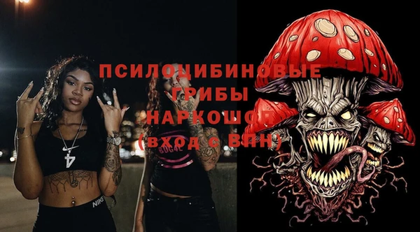 молекула духа Богородицк