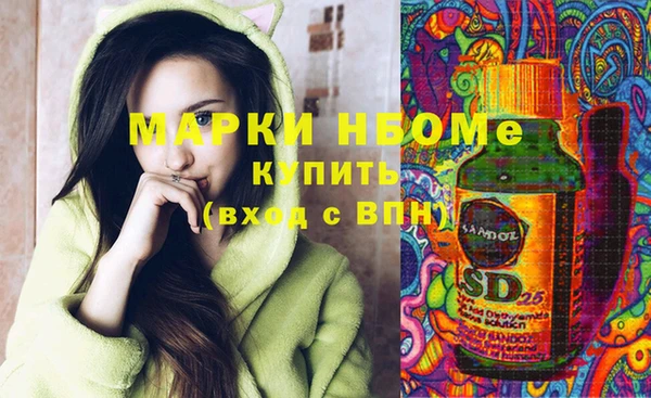 молекула духа Богородицк
