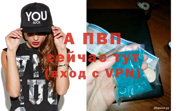 молекула духа Богородицк