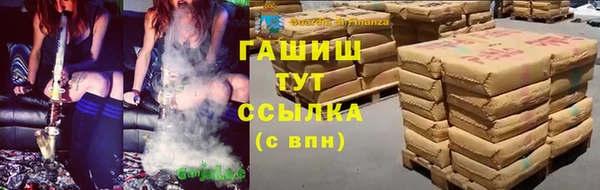 молекула духа Богородицк