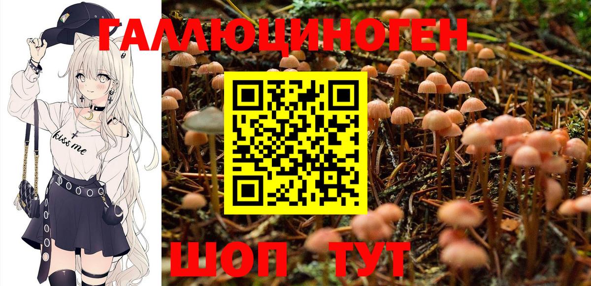 Галлюциногенные грибы мухоморы  Галлюциногенные грибы Psilocybine cubensis  Сланцы  где купить   Вход с VPN 