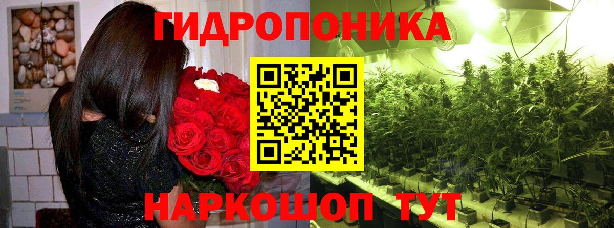 Бошки марихуана Ganja  Вход с VPN  Канабис тримм  Сланцы  Каннабис гибрид  Каннабис Bruce Banner 